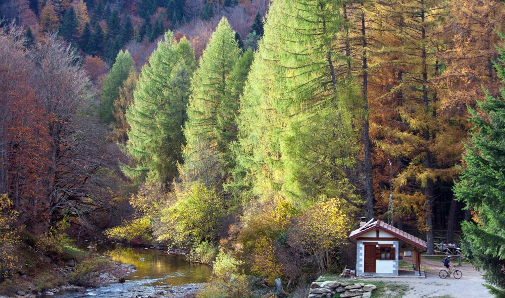 The Pyrenean valleys